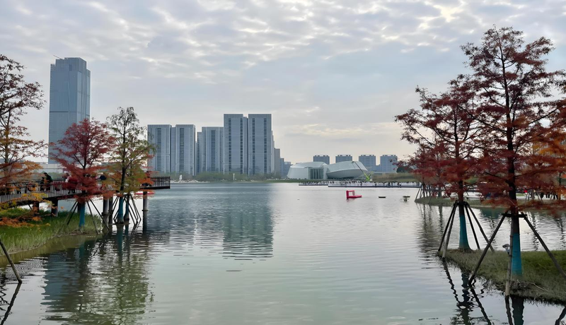 玉湖流域水生态修复项目